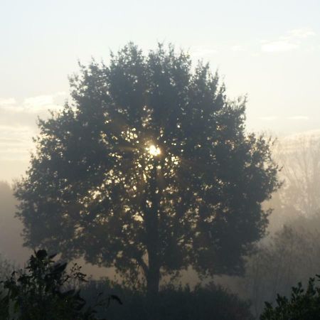 Emsbüren Fewo Emsland מראה חיצוני תמונה