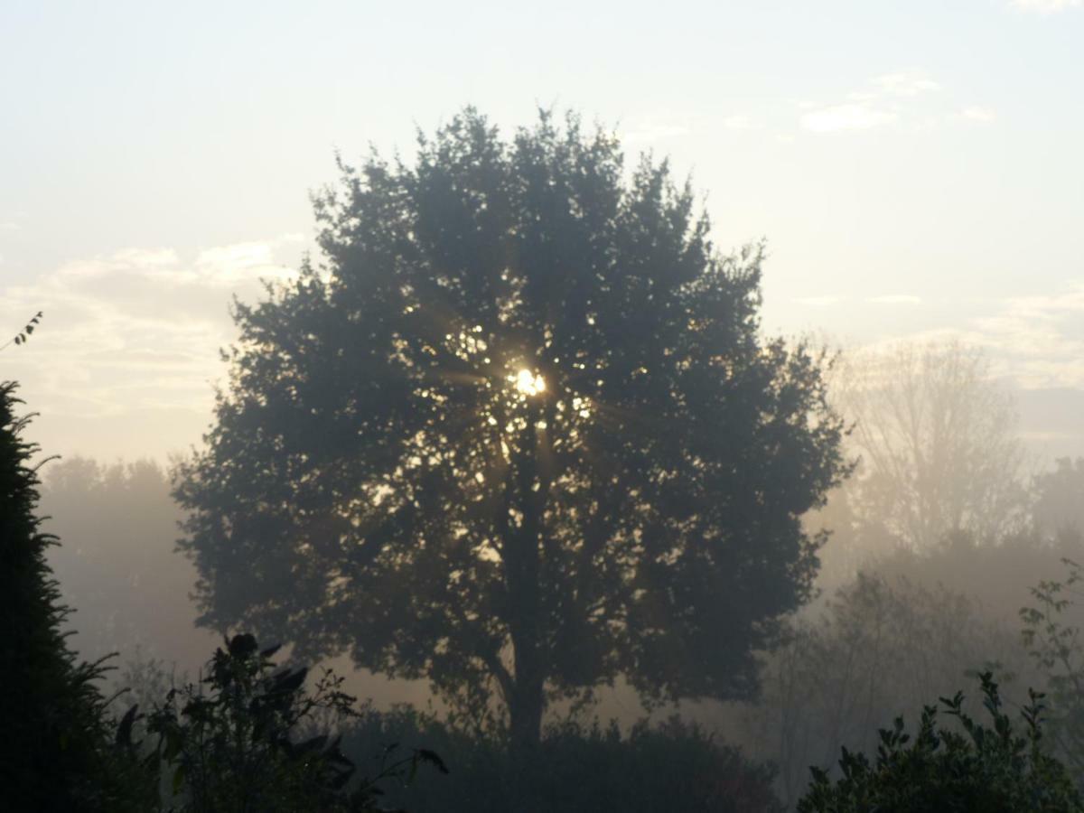 Emsbüren Fewo Emsland מראה חיצוני תמונה